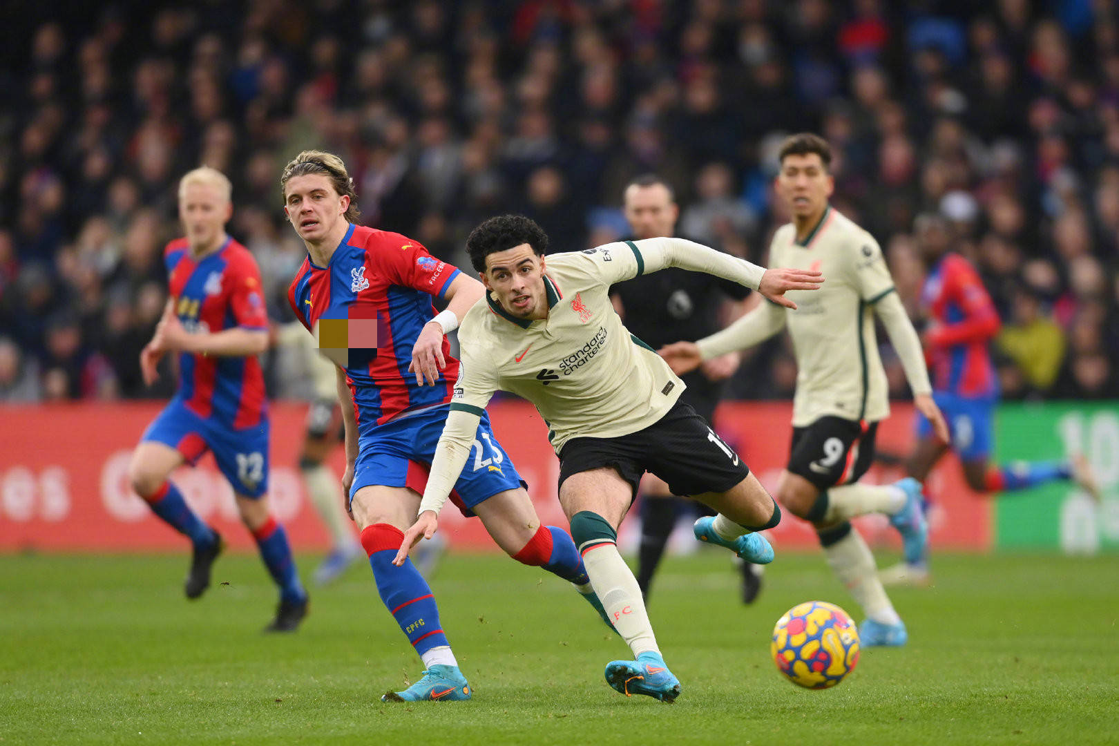 话促进波兰 话促进波兰