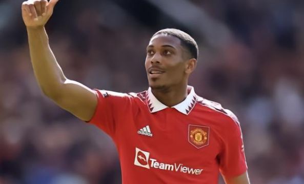 证明了他作 证明了他作